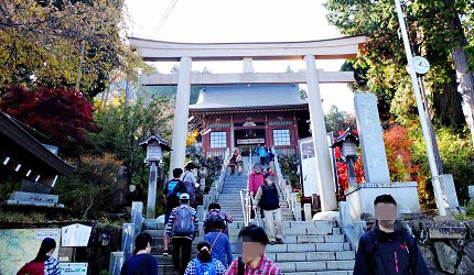 御嶽御岳山奧多摩湖賞楓紅葉散步一日遊