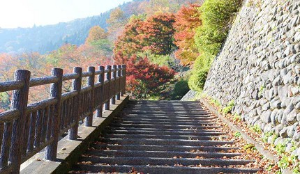 御嶽御岳山奧多摩湖賞楓紅葉散步一日遊
