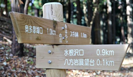 御嶽御岳山奧多摩湖賞楓紅葉散步一日遊