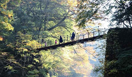 御嶽御岳山奧多摩湖賞楓紅葉散步一日遊