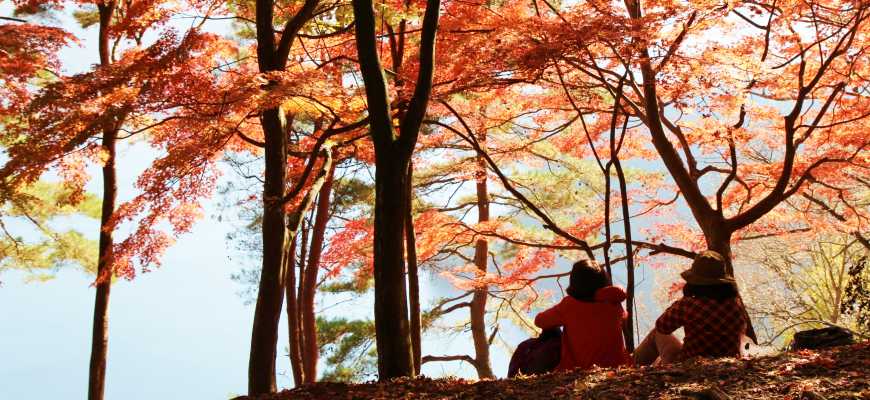 御嶽御岳山奧多摩湖賞楓紅葉散步一日遊