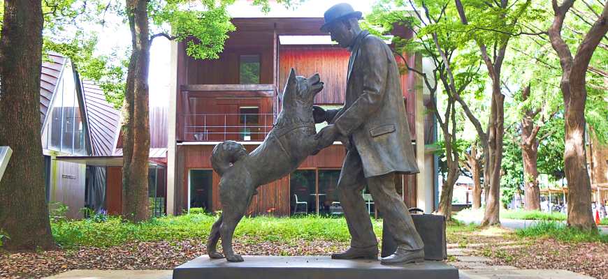 東京大學慶應義塾大學早稻田大學