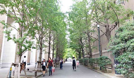 東京大學慶應義塾大學早稻田大學