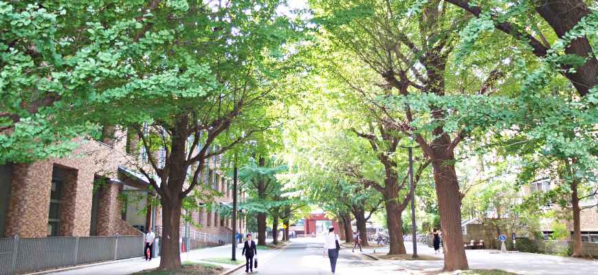 東京大學慶應義塾大學早稻田大學