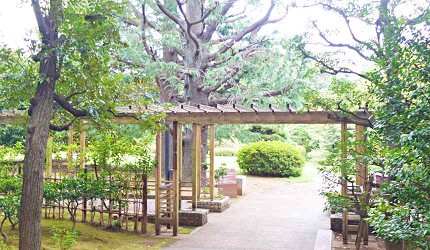 東京慶應義塾大學福澤諭吉早稻田大學大隈重信