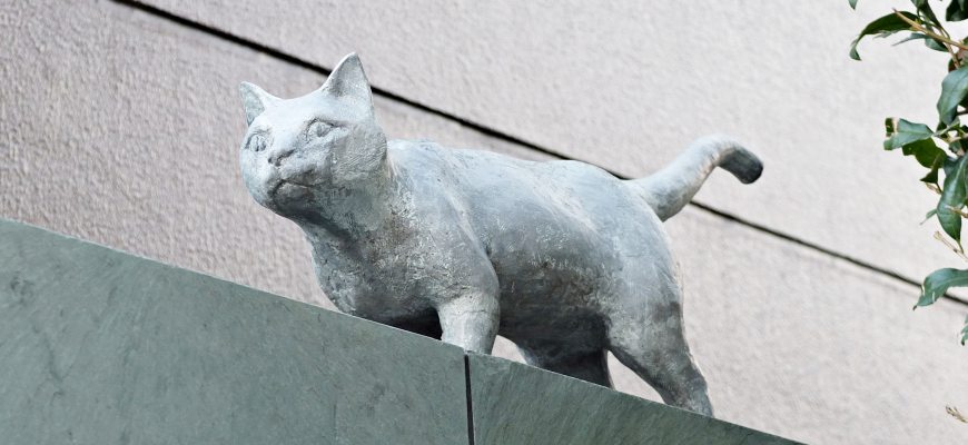 夏目漱石舊居跡貓