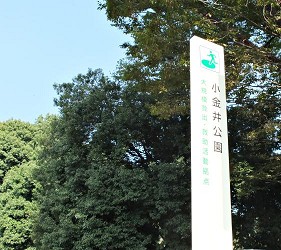 小金井公園