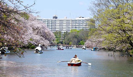 井之頭恩賜公園