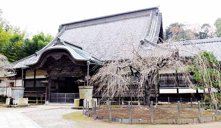 觀福寺