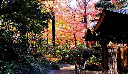 東京小石川後樂園得仁堂