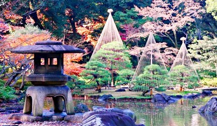 舊古河庭園的紅葉