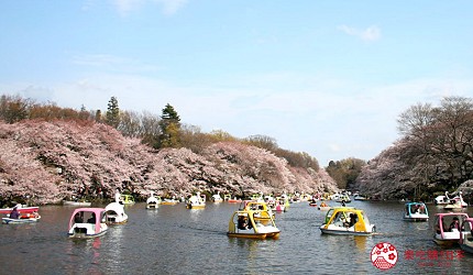 2025日本東京自由行