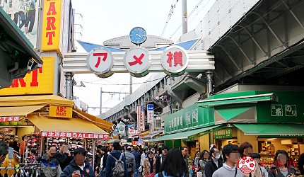 2025日本東京自由行