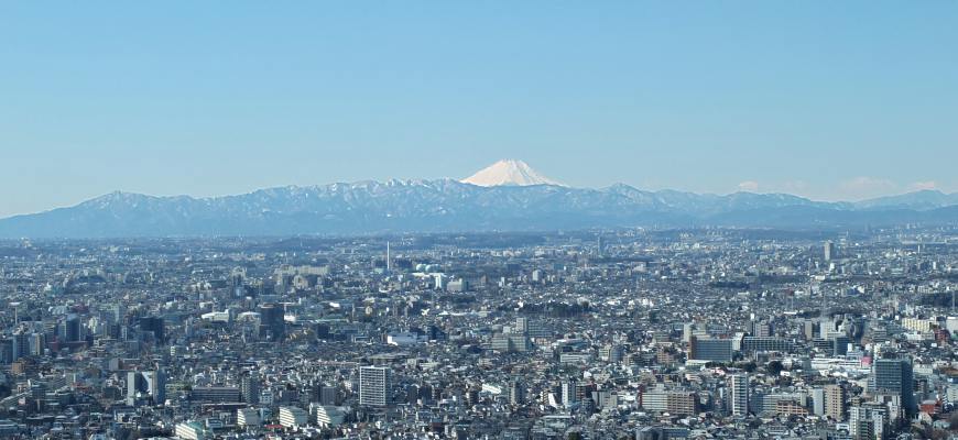 東京都廳富士山