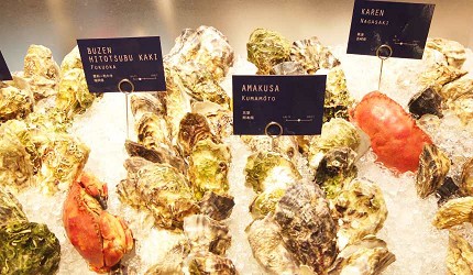 Boston Oyster & Crab的牡蠣來自世界各地