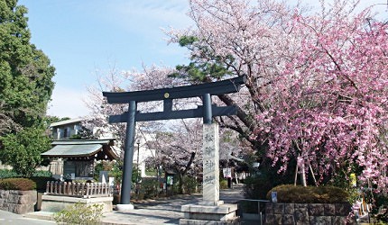 位於東京世田谷區的松陰神社