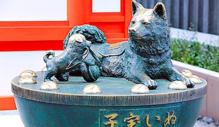 「水天宮」的「子寶犬」被眾多的參拜者摸成了金色