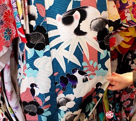 日光東照宮附近和服體驗店家「うたかた」和服融入眠貓與麻雀元素