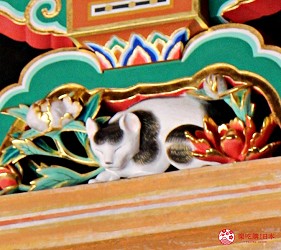 日光東照宮奧宮入口的眠貓