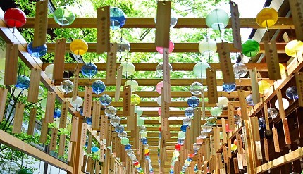 日本東京埼玉旅遊自助旅行自由行關東祭典夏天的風物詩川越冰川神社緣結風鈴祭