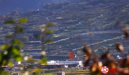 遠望用萬歲PASS 2日乘車券可以去到的姨捨梯田